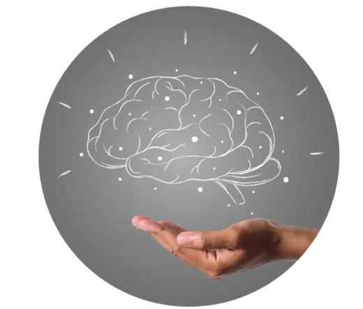 Illustration des neurosciences : un cerveau dessiné posé au-dessus d'une main ouverte